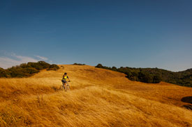 20140808_mhlt_fernandez-ranch_mountain-bike_0099-edit-copy-lores